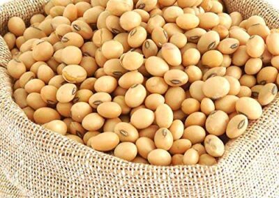 Soya Bean