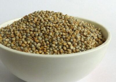 bajra 500x500 2